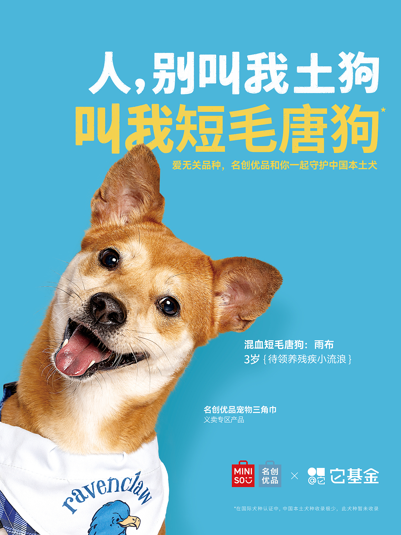 【狗狗拍摄】人，别叫我土狗（图ZMzg4MDQ3NDAw） - 宠物摄影 - 站酷设计师Pointphoto原创素材 - 站酷ZCOOL