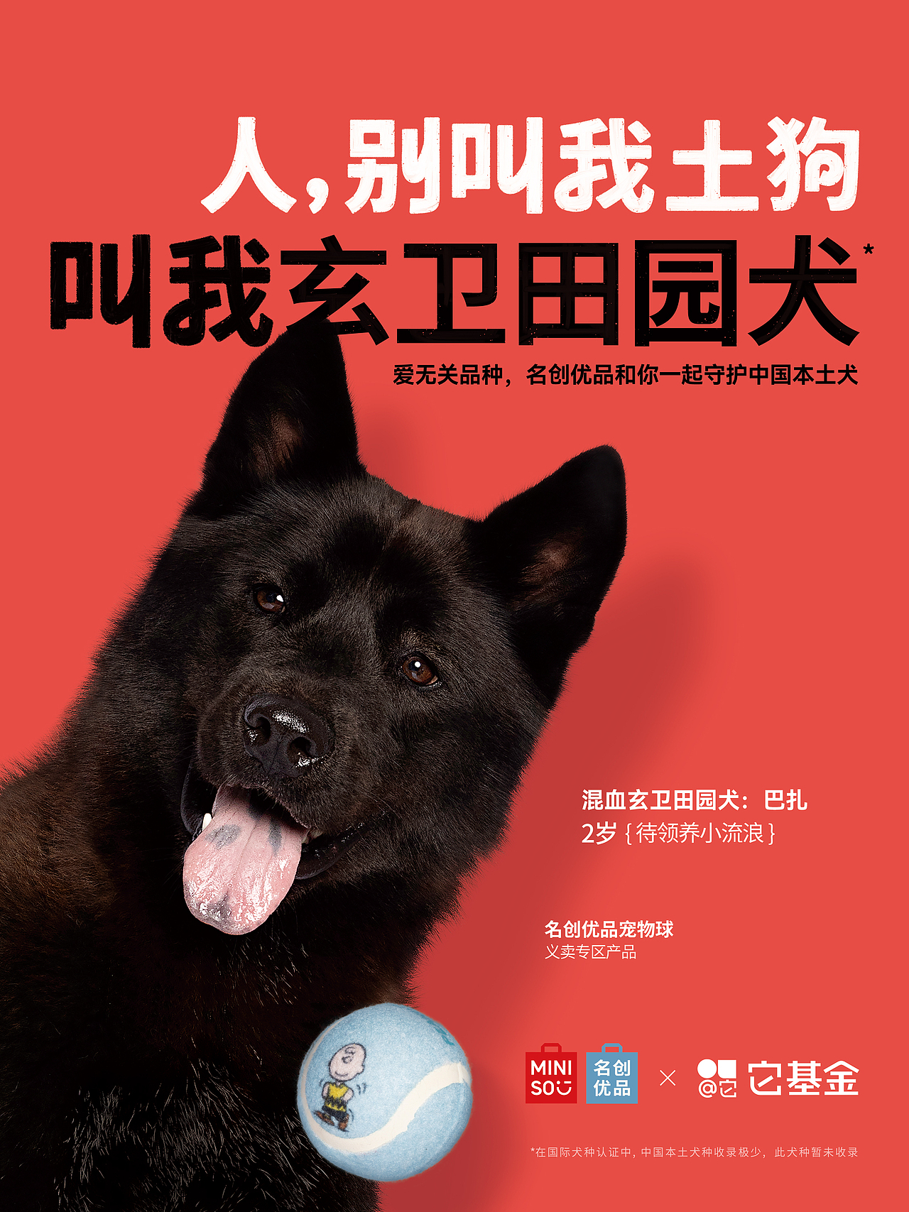 【狗狗拍摄】人，别叫我土狗（图ZMzg4MDQ3Mzky） - 宠物摄影 - 站酷设计师Pointphoto原创素材 - 站酷ZCOOL
