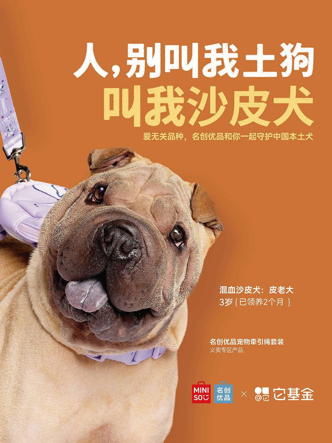 【狗狗拍摄】人，别叫我土狗（图ZMzg4MDQ3NDA0） - 宠物摄影 - 站酷设计师Pointphoto原创素材 - 站酷ZCOOL