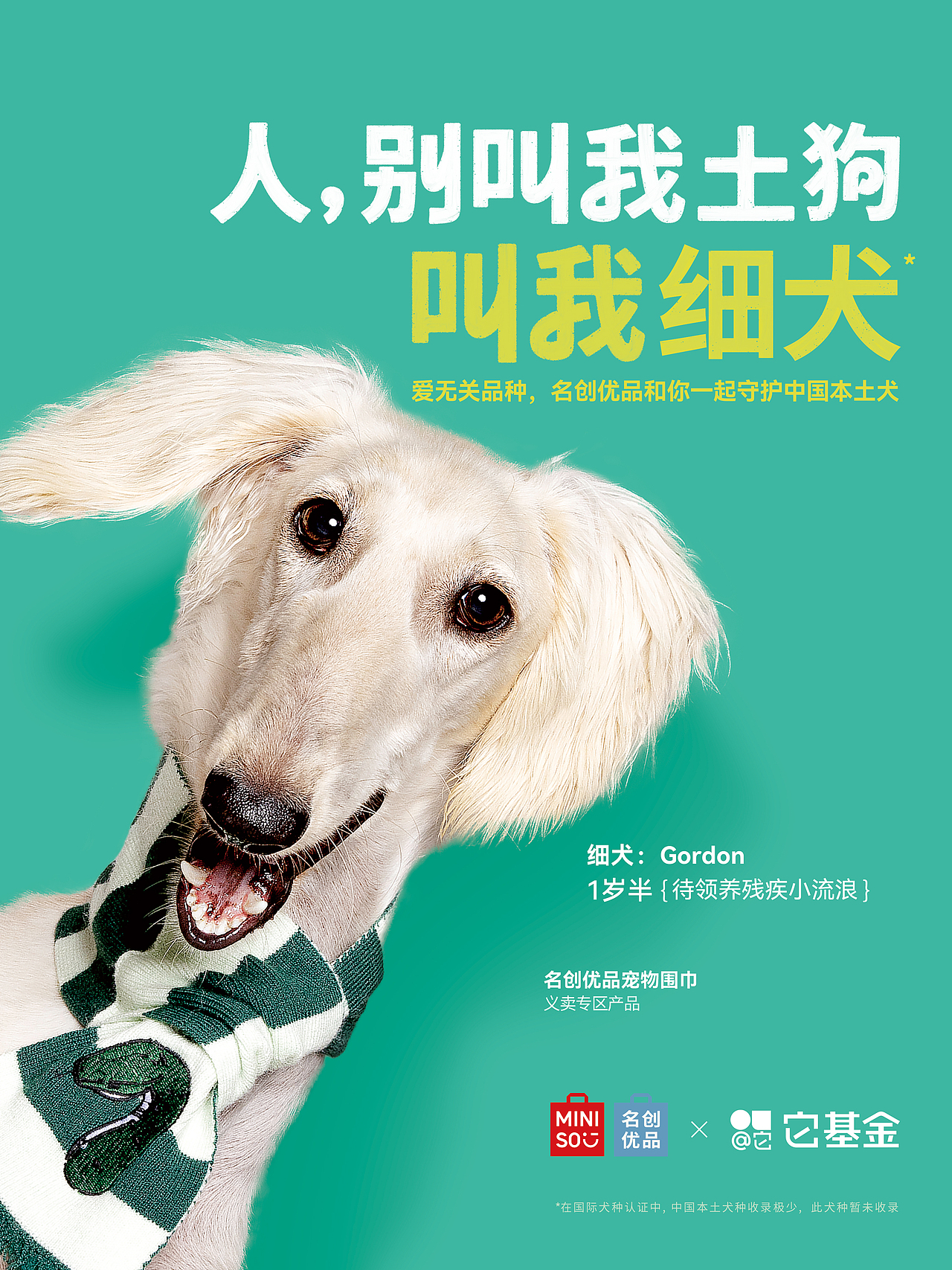 【狗狗拍摄】人，别叫我土狗（图ZMzg4MDQ3Mzg4） - 宠物摄影 - 站酷设计师Pointphoto原创素材 - 站酷ZCOOL