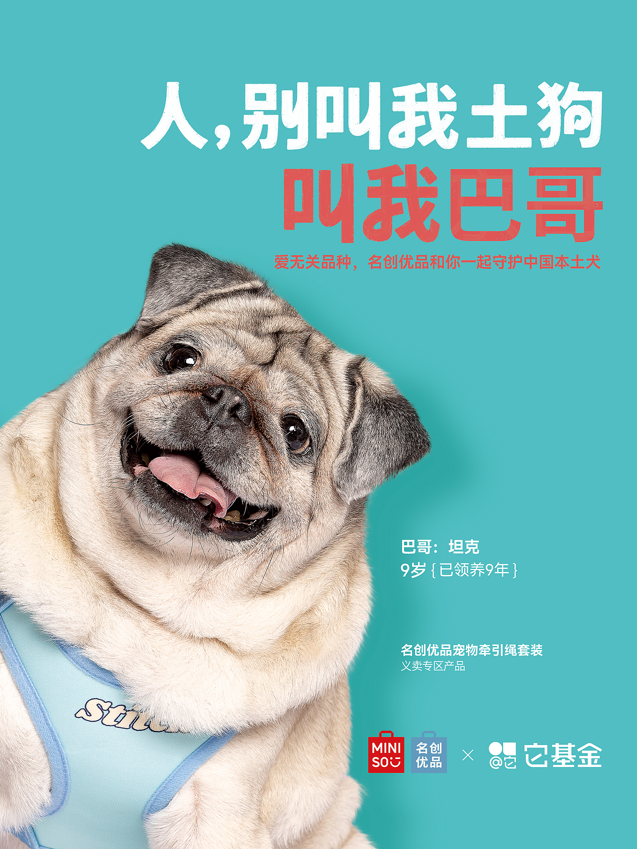 【狗狗拍摄】人，别叫我土狗（图ZMzg4MDQ3NDE2） - 宠物摄影 - 站酷设计师Pointphoto原创素材 - 站酷ZCOOL