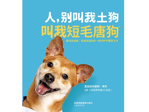 【狗狗拍摄】人，别叫我土狗