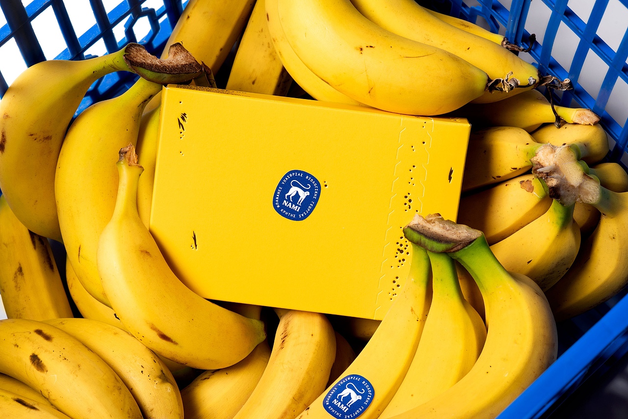 2024 Pentawards 最佳人气奖作品 - Bananostafido