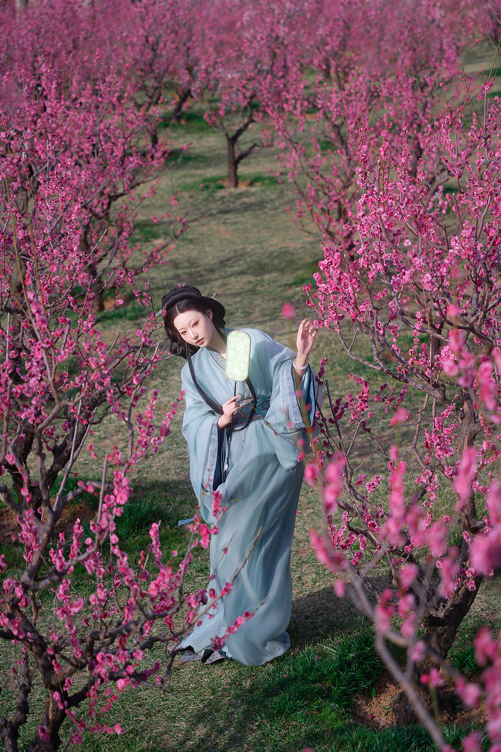 待到春花烂漫时