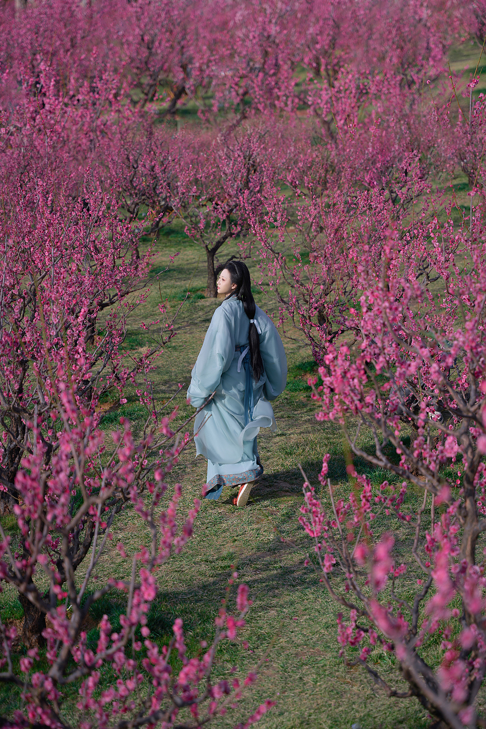 待到春花烂漫时