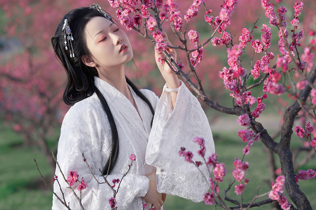 待到春花烂漫时