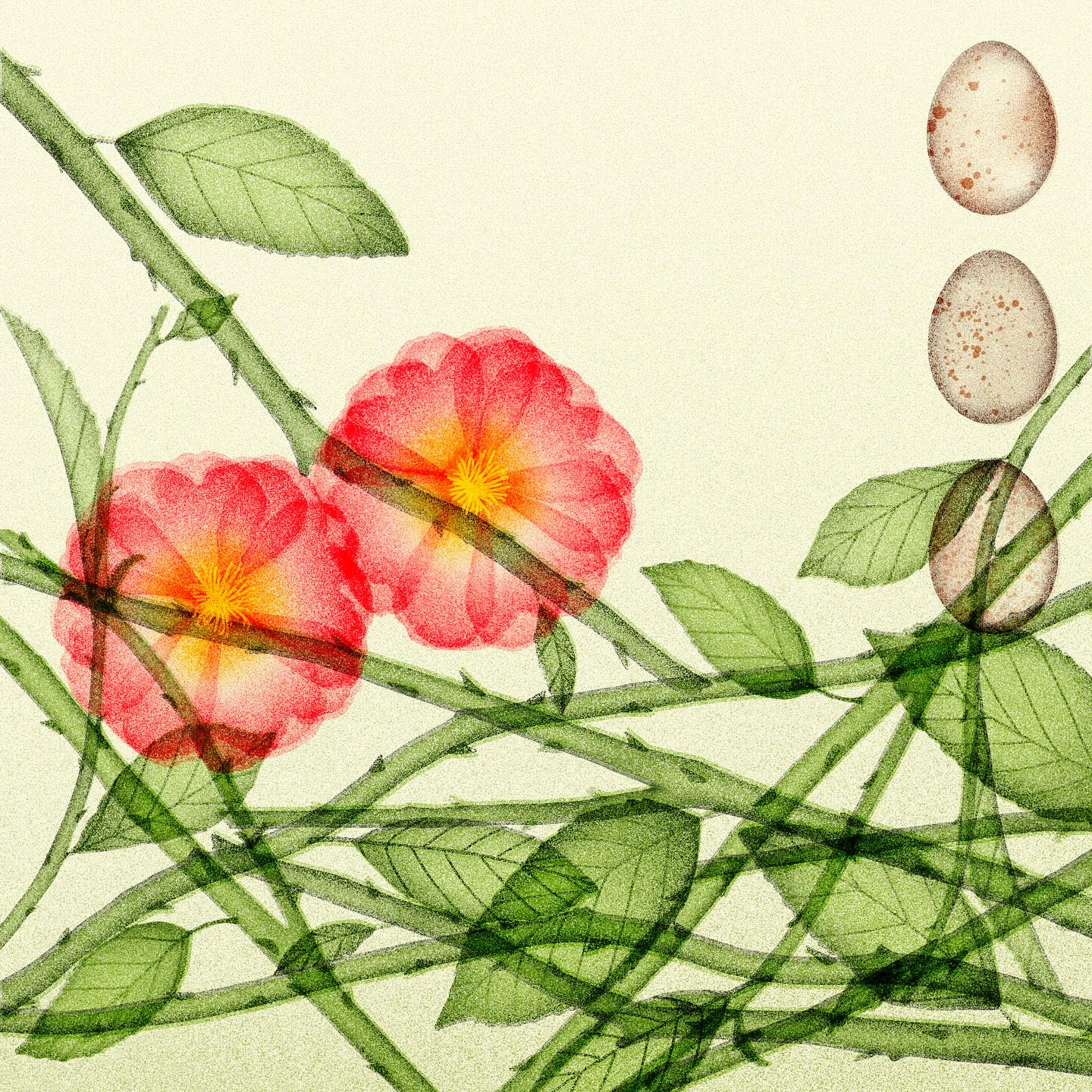 透过内核发现美-法国艺术家Sarah Mafféïs的插画作品｜365天的好设计NO.58（图ZMTUwNTMxOTY=） - 观点 - 站酷设计师站酷资讯原创素材 - 站酷ZCOOL