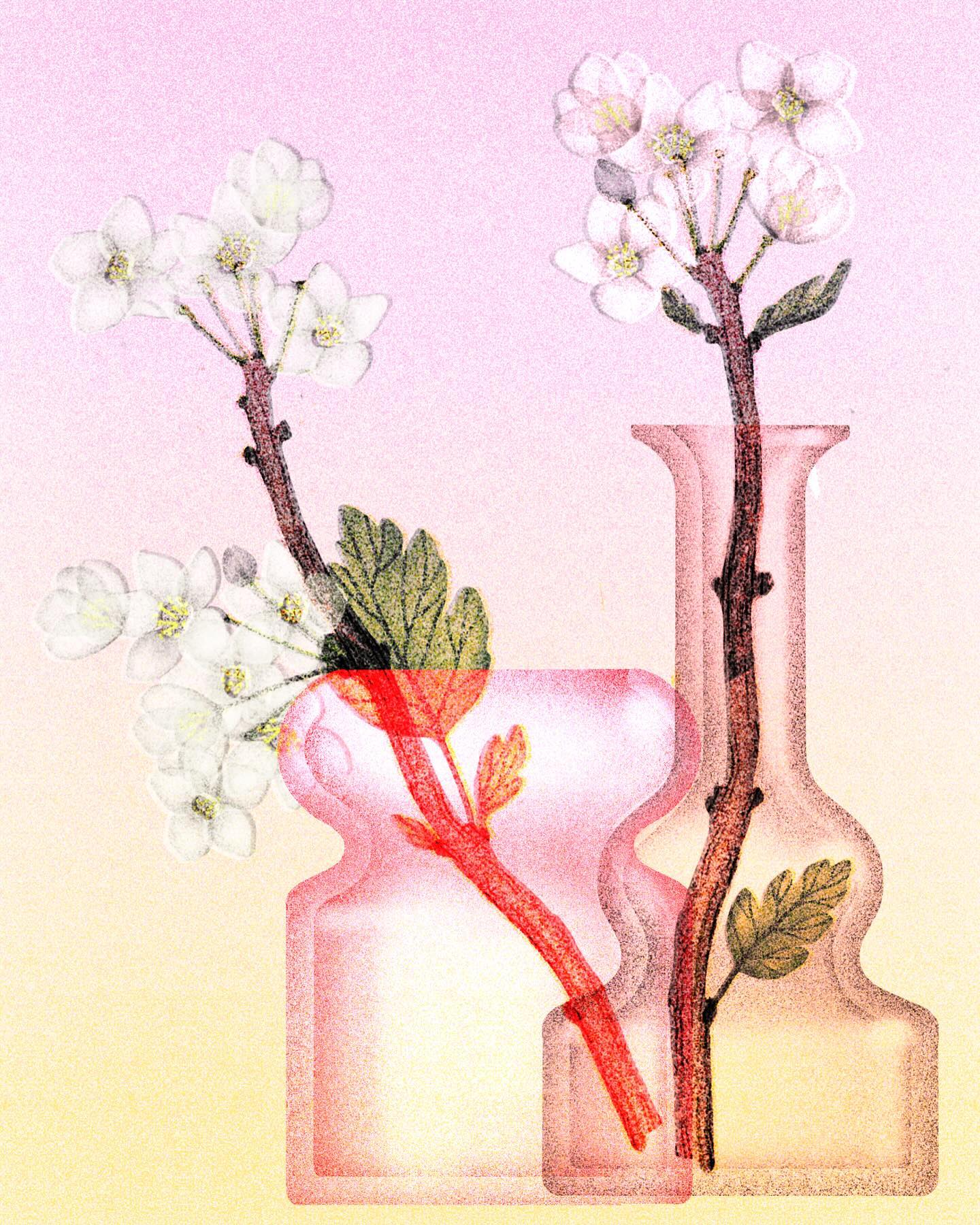 透过内核发现美-法国艺术家Sarah Mafféïs的插画作品｜365天的好设计NO.58（图ZMTUwNTMyNjg=） - 观点 - 站酷设计师站酷资讯原创素材 - 站酷ZCOOL