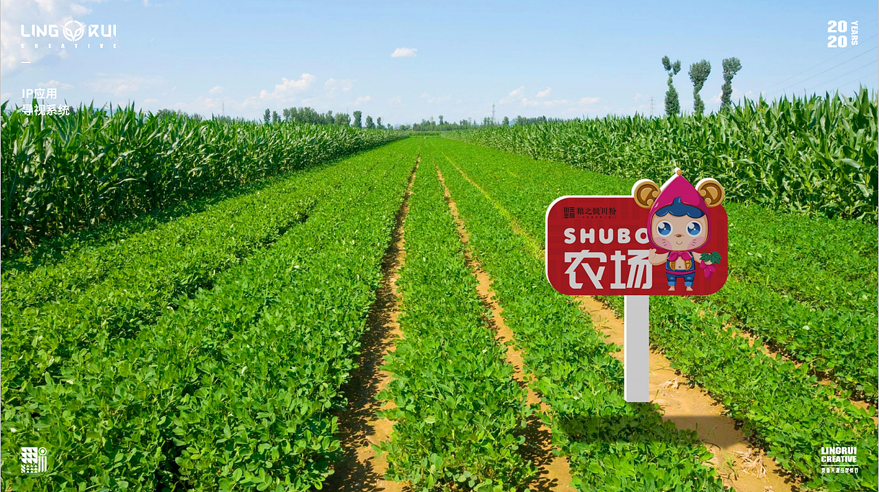 IP设计（图ZMzg4MDc1MTQ4） - IP形象 - 站酷设计师甲方修改器原创素材 - 站酷ZCOOL