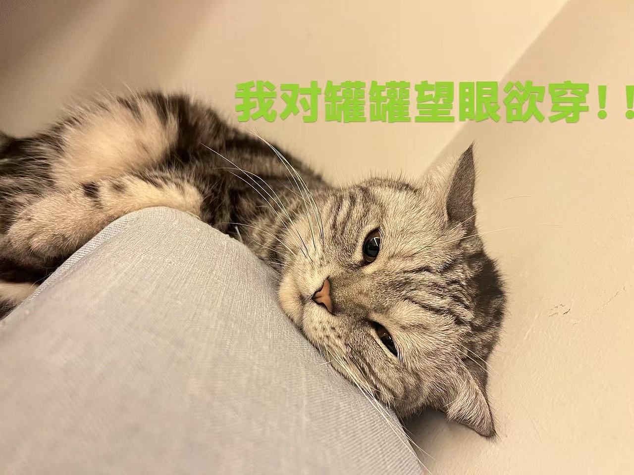 遇见（图ZMzg4MDc1MzQ0） - 风光摄影 - 站酷设计师吴良心原创素材 - 站酷ZCOOL