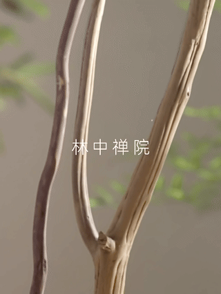 气味探索香氛喷雾平面&视频✖️有食｜美妆个护摄影（图ZMzg4MDgwMDk2） - 产品摄影 - 站酷设计师有食YOUSHI原创素材 - 站酷ZCOOL