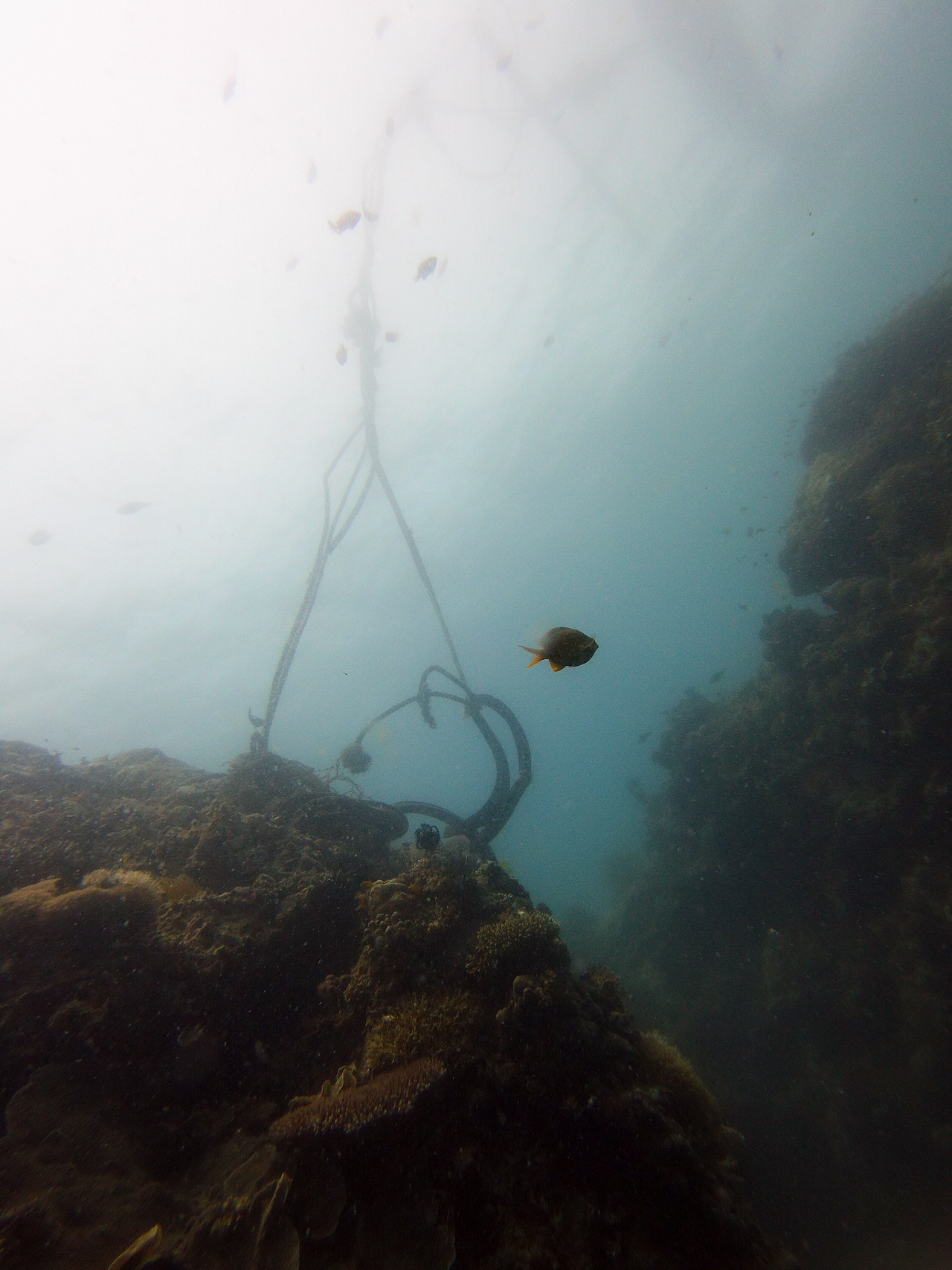 水下摄影:太空漫步