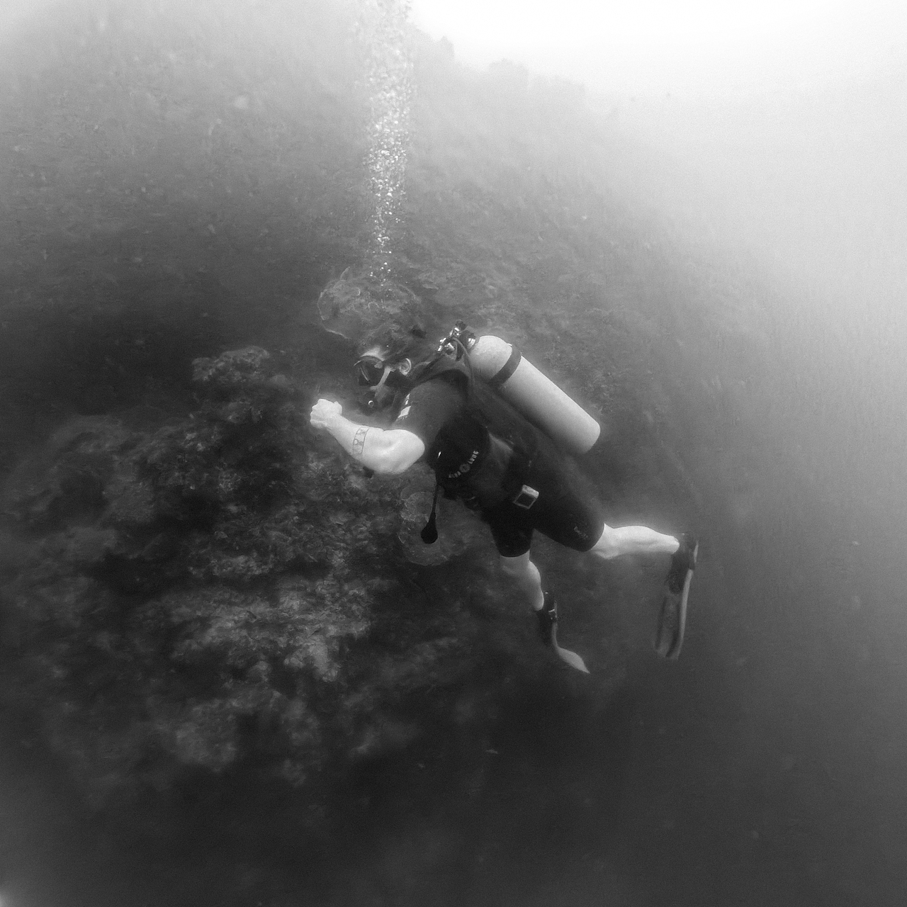 水下摄影:太空漫步
