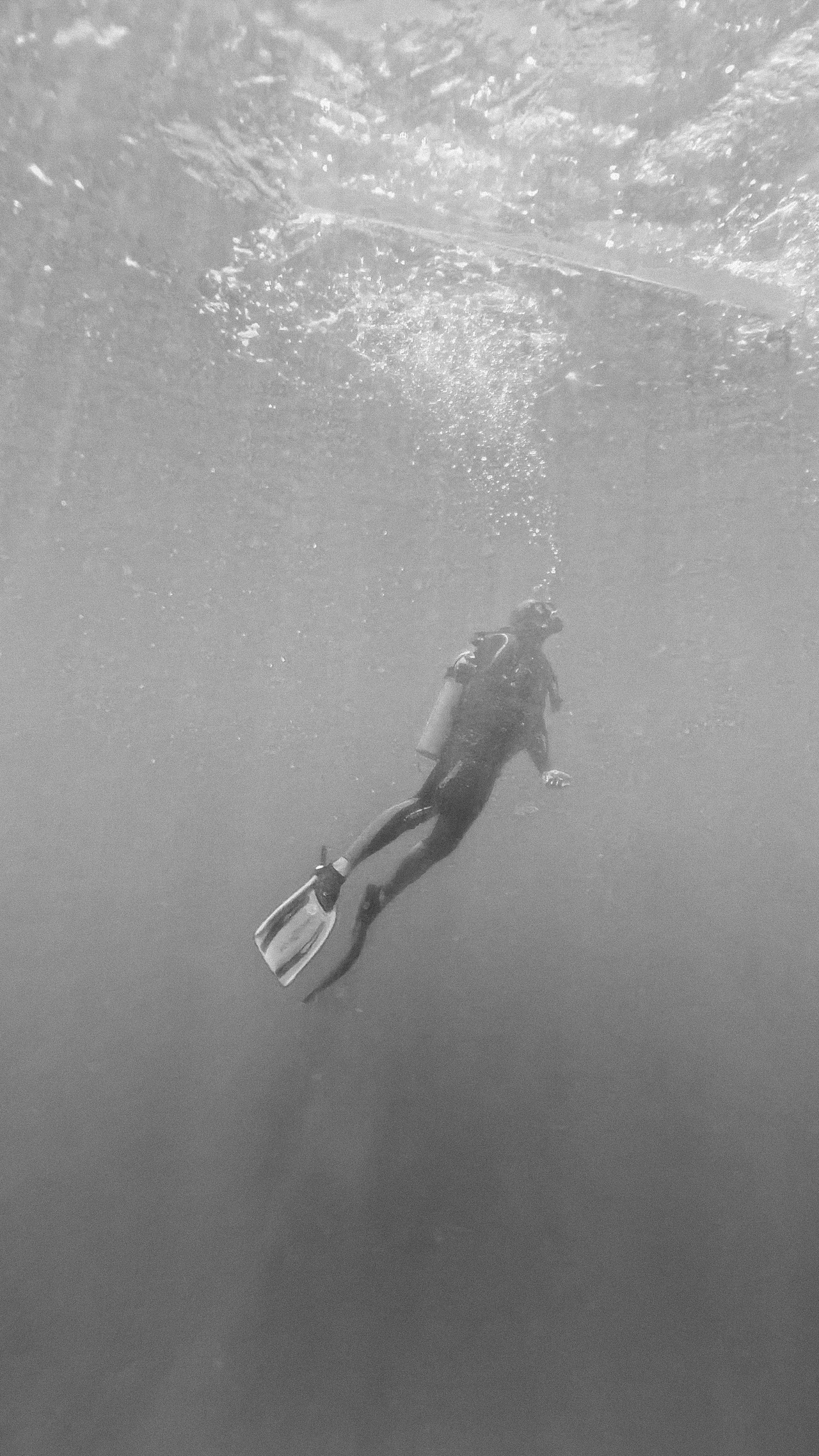 水下摄影:太空漫步