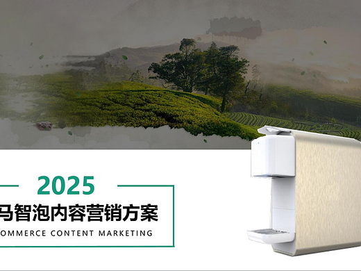2025家电智泡茶饮机品牌年度营销种草方案-45P