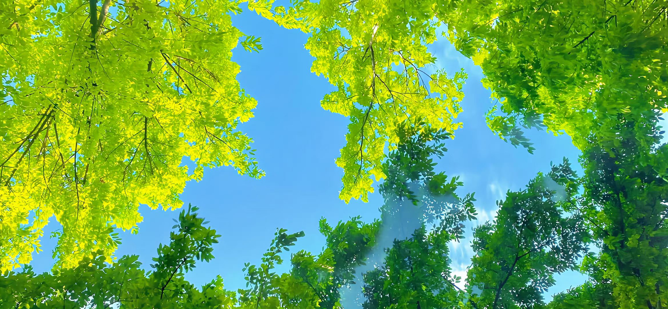 吳良心的個(gè)人主頁(yè)（封面預(yù)覽） - 主頁(yè)封面設(shè)置 - 站酷設(shè)計(jì)師吳良心原創(chuàng)素材 - 站酷ZCOOL