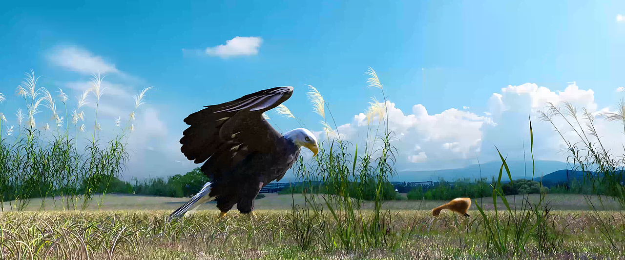 丹顶鹤三维动画