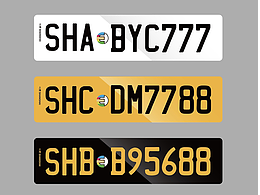 爆改中国新能源车牌