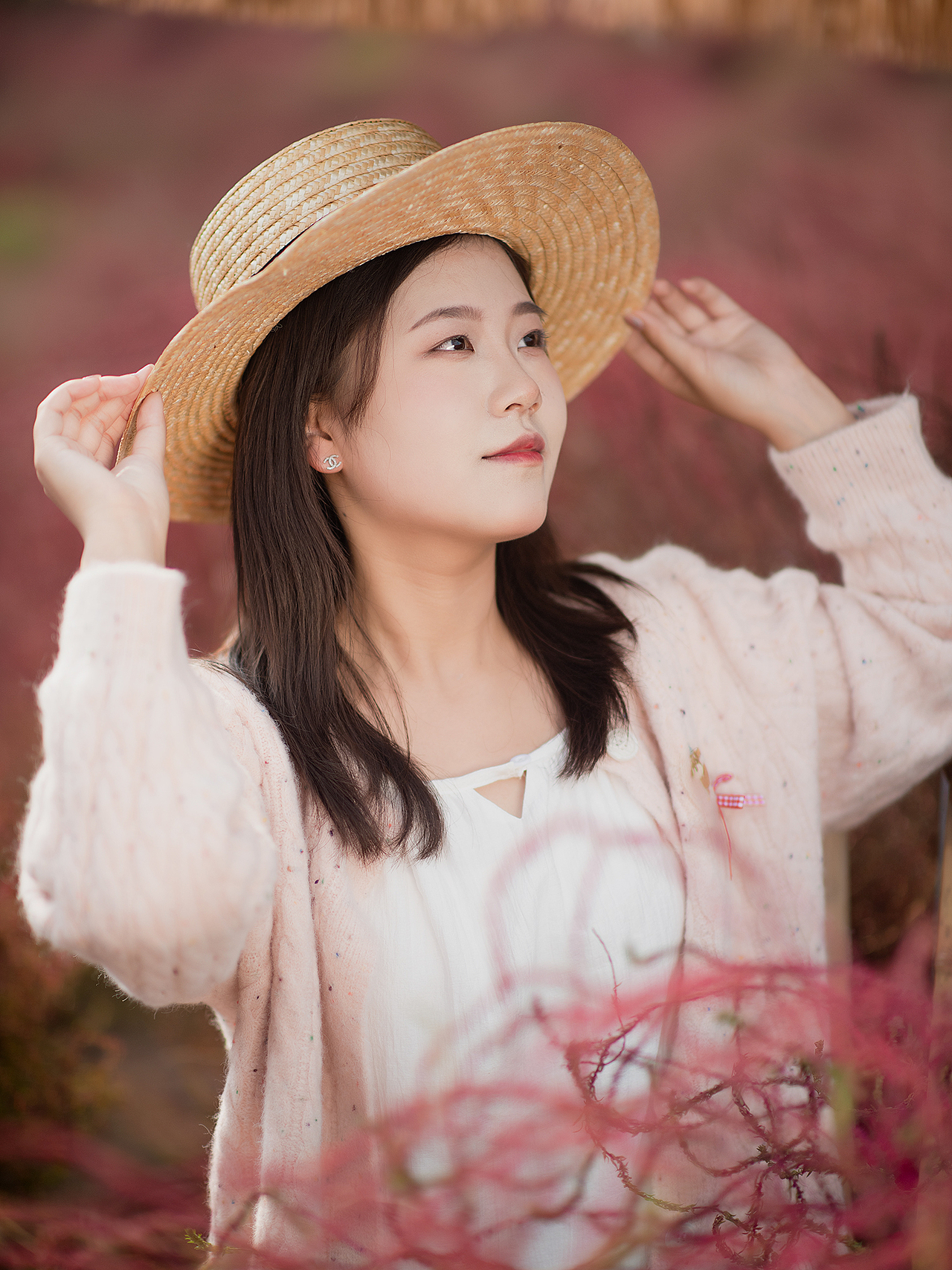 地肤草的色彩你喜欢吗