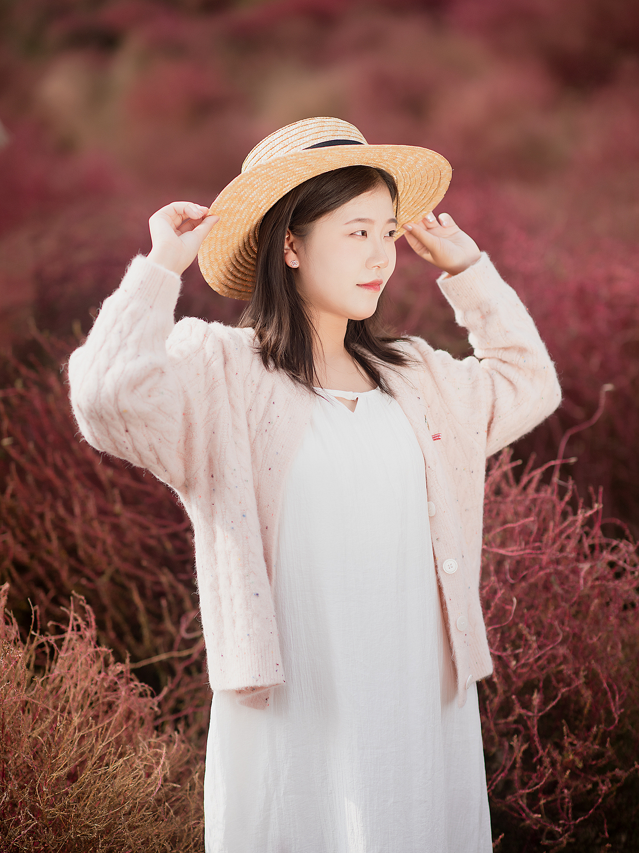 地肤草的色彩你喜欢吗