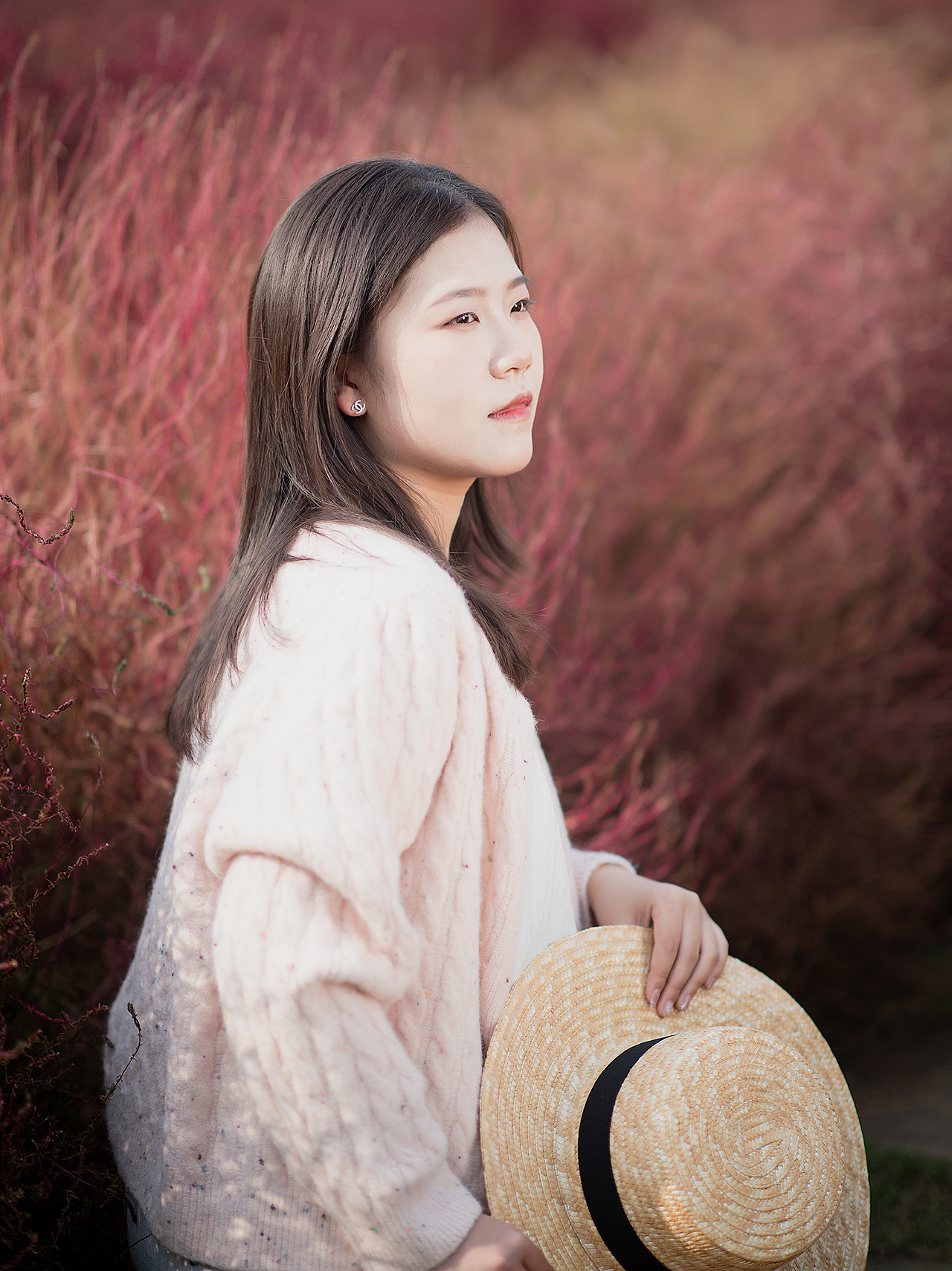 地肤草的色彩你喜欢吗