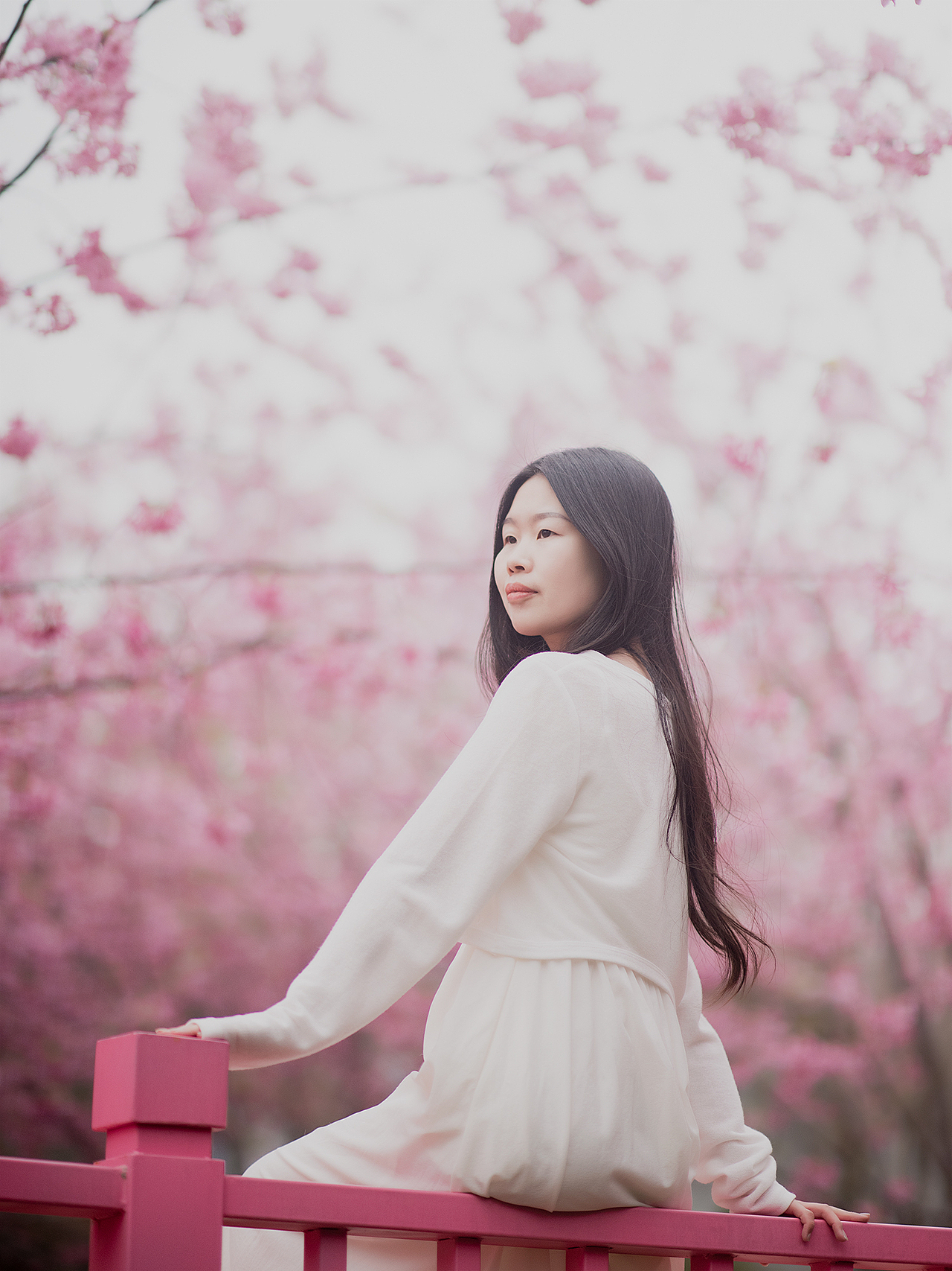 樱花盛开的季节（图ZMzg4MTI4NzE2） - 人像摄影 - 站酷设计师桥如一原创素材 - 站酷ZCOOL