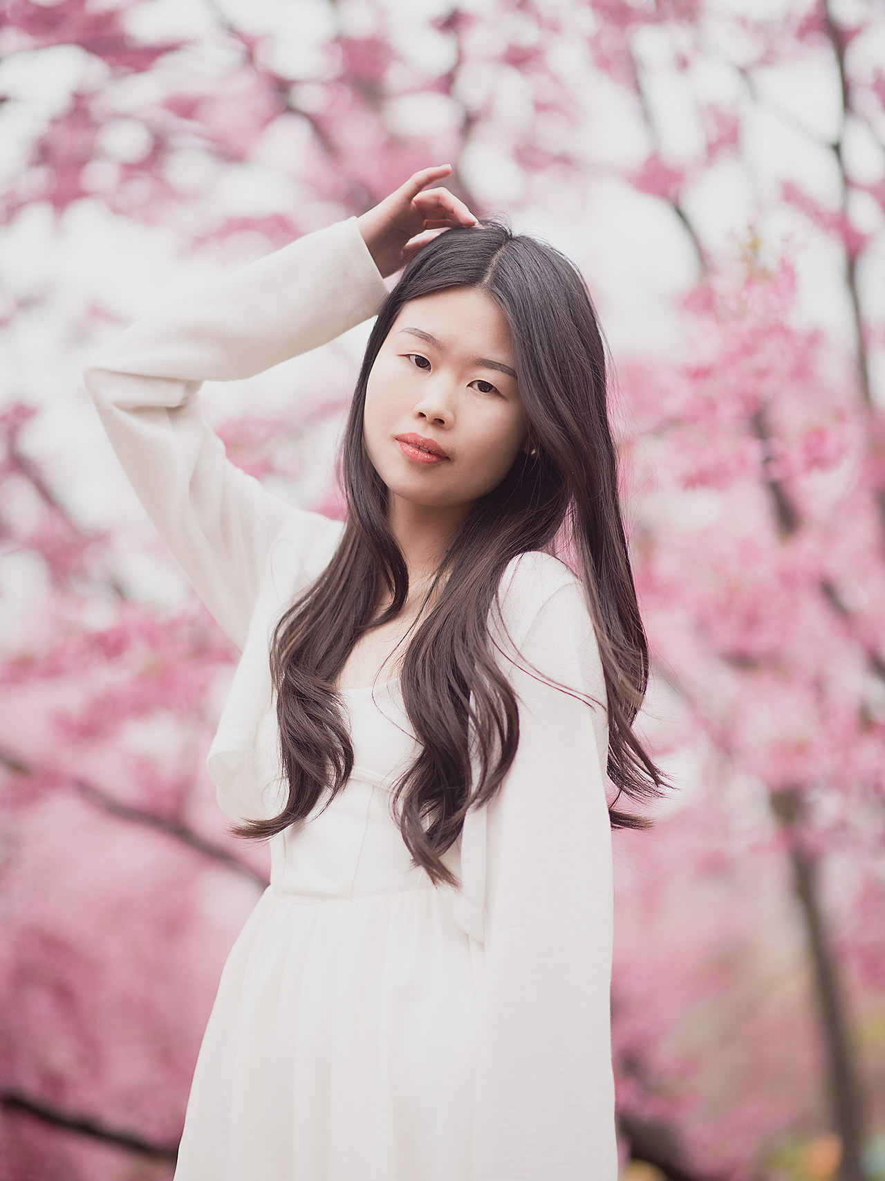 樱花盛开的季节