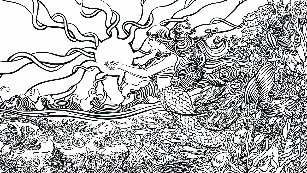 深圳BOB设计×张珍记鲍鱼（图ZMzg4MTQ2MDcy） - 包装 - 站酷设计师深圳BOB设计原创素材 - 站酷ZCOOL