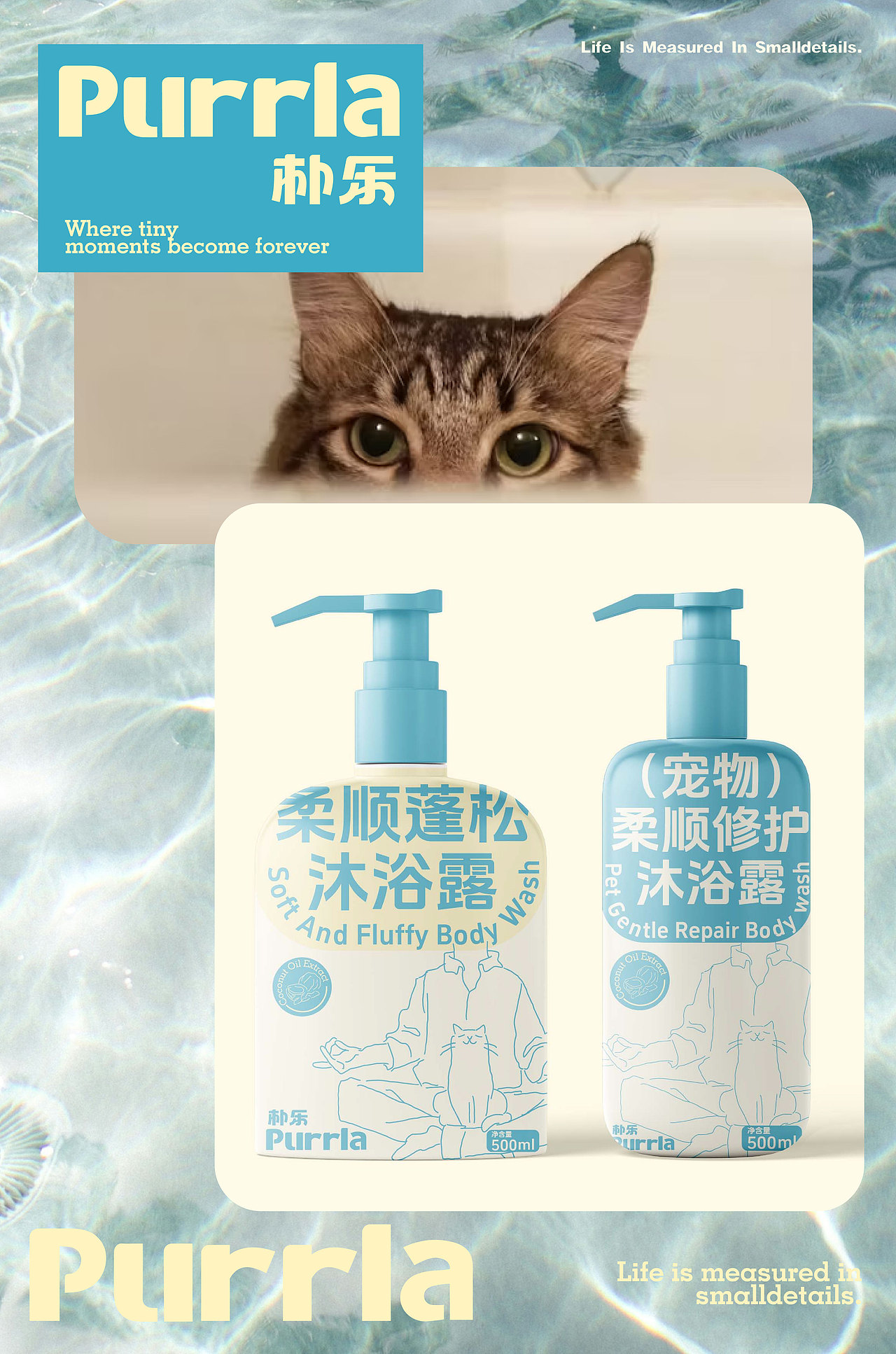 Purrla 朴乐 治愈系宠物品牌设计