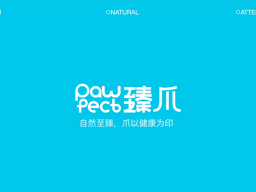 pawfect(臻爪)宠物品牌视觉设计