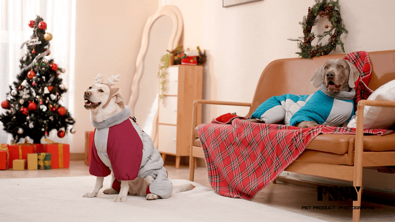 亚马逊宠物棉服摄影｜宠物产品拍摄丨宠物服装摄影（图ZMzg4MTU3ODY0） - 产品摄影 - 站酷设计师宠物产品摄影原创素材 - 站酷ZCOOL