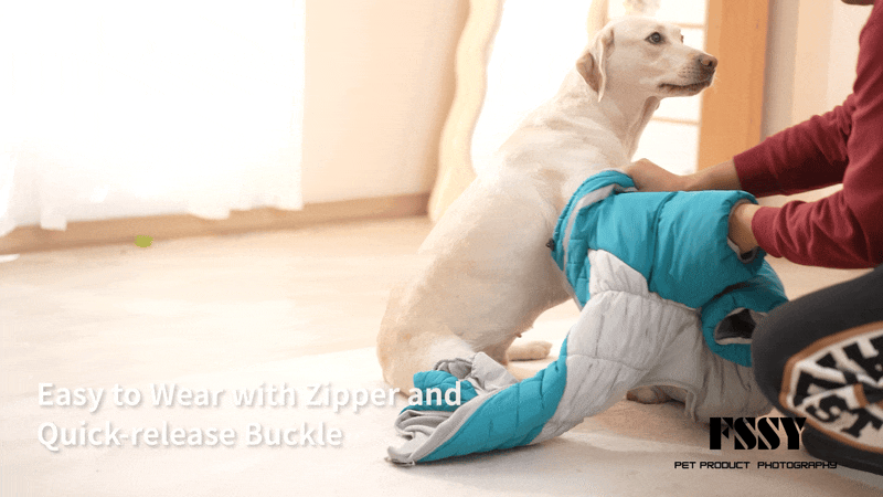 亚马逊宠物棉服摄影｜宠物产品拍摄丨宠物服装摄影（图ZMzg4MTU3ODYw） - 产品摄影 - 站酷设计师宠物产品摄影原创素材 - 站酷ZCOOL