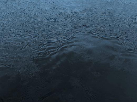 Wind Blows A Seed-2022