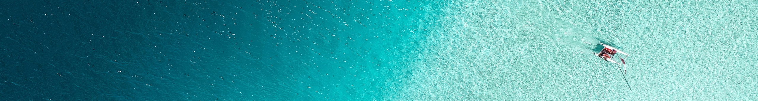 芳草77的個人主頁（封面預(yù)覽） - 主頁封面設(shè)置 - 站酷設(shè)計師芳草77原創(chuàng)素材 - 站酷ZCOOL