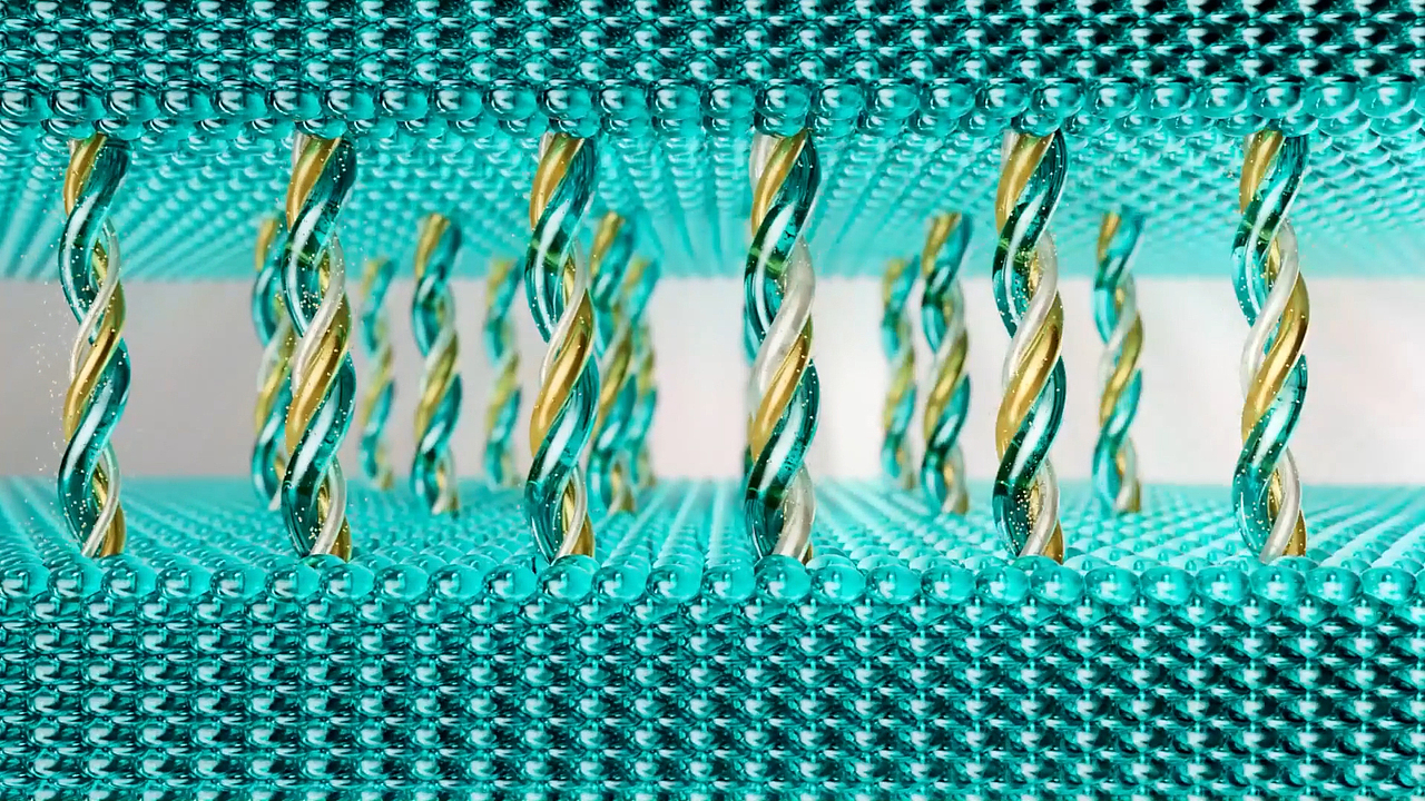 百雀羚菁华霜-分型集