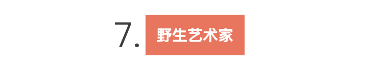 在严肃的世界里,我们偏要设计得可爱(图ZMTUwNTY2NzI=) - 观点 - 站酷设计师站酷共创原创素材 - 站酷ZCOOL