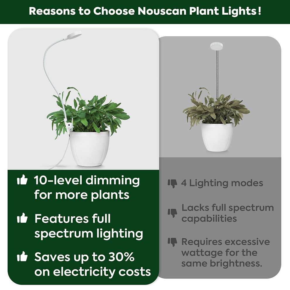 植物夹子灯主图