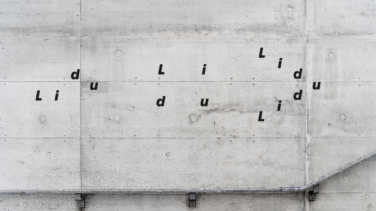 突破界限初创时尚品牌 | LIDU 服饰品牌 | 品牌设计