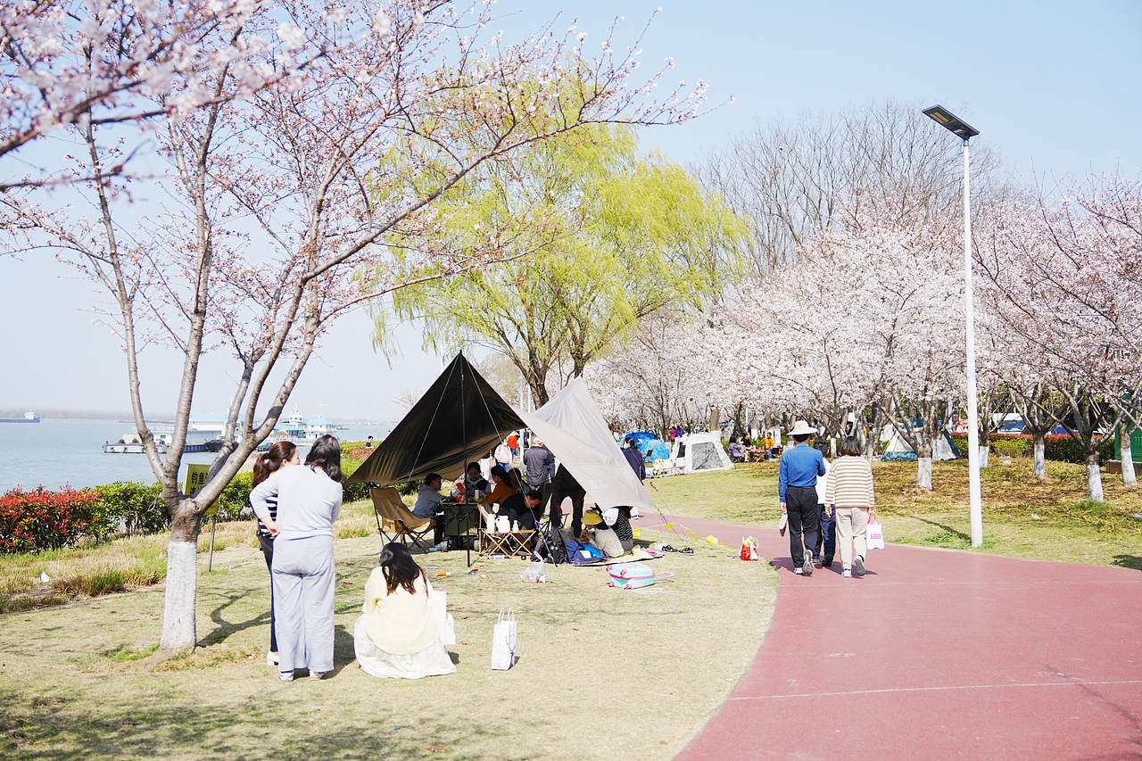 2025春日燕子矶（图ZMzg4MjM1NjI0） - 风光摄影 - 站酷设计师便签贴原创素材 - 站酷ZCOOL