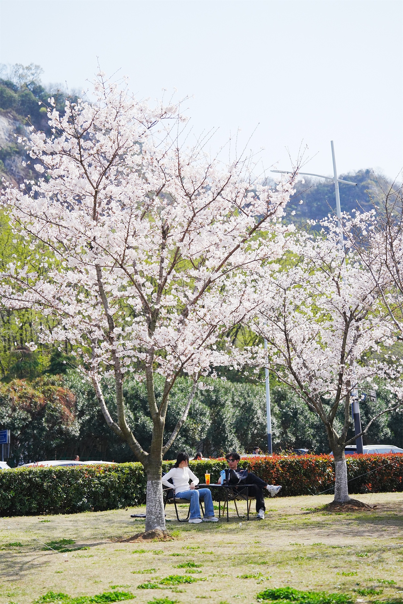 2025春日燕子矶（图ZMzg4MjM1NjIw） - 风光摄影 - 站酷设计师便签贴原创素材 - 站酷ZCOOL