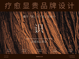 品牌手册案例