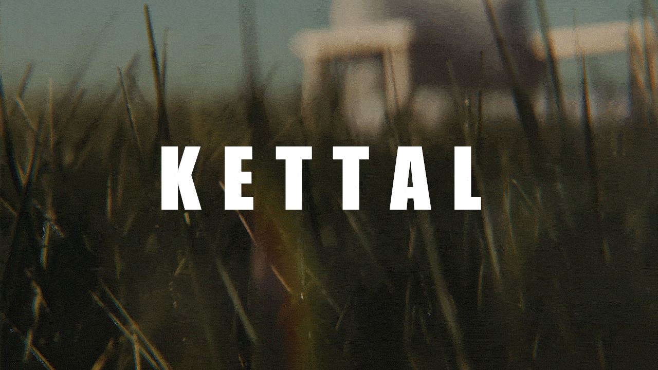 4年前，我在站酷种下一棵树（图ZMzg4MjUxOTky） - 产品 - 站酷设计师其实我脾气超好的原创素材 - 站酷ZCOOL