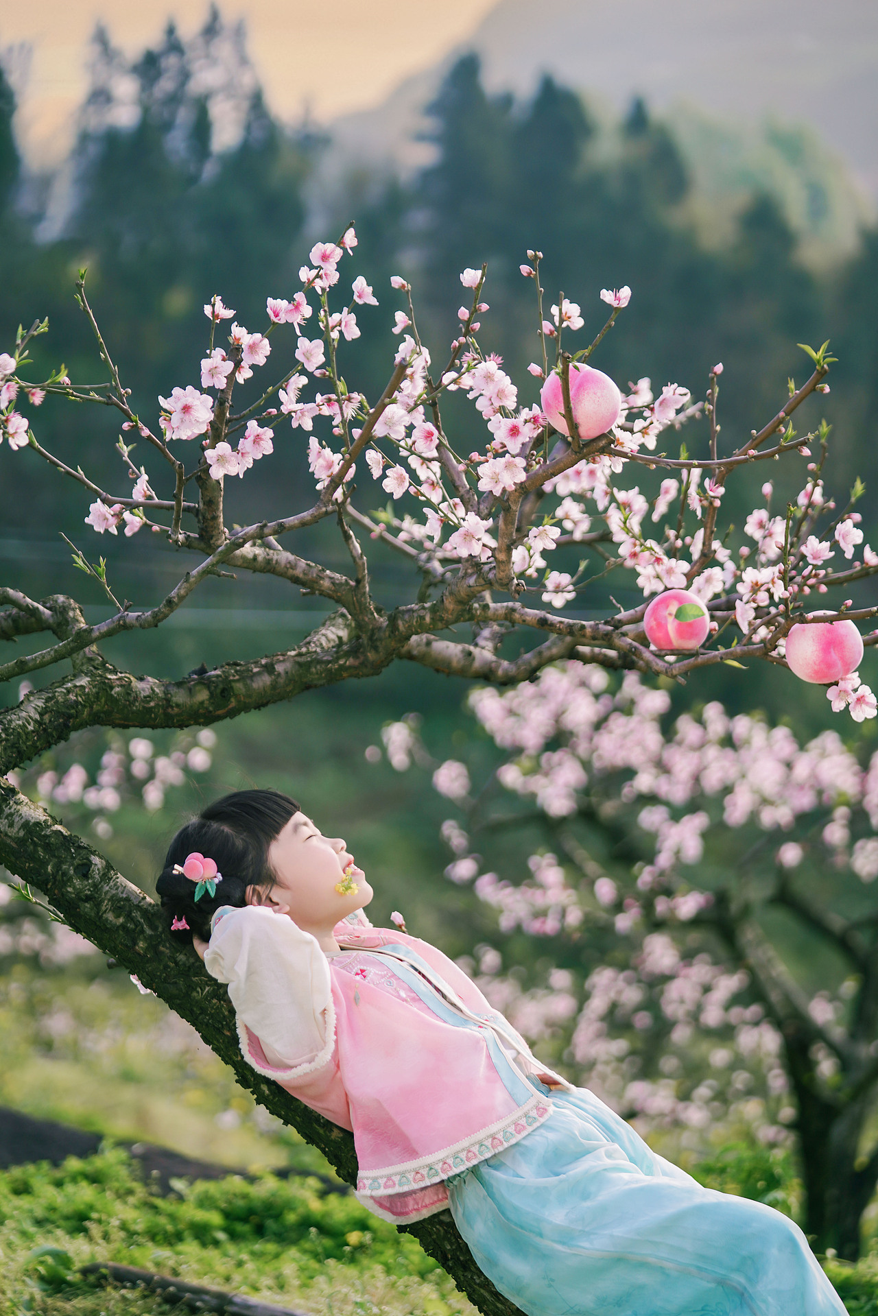 桃花朵朵开（图ZMzg4MjUzNjQ0） - 人像摄影 - 站酷设计师有田人家原创素材 - 站酷ZCOOL