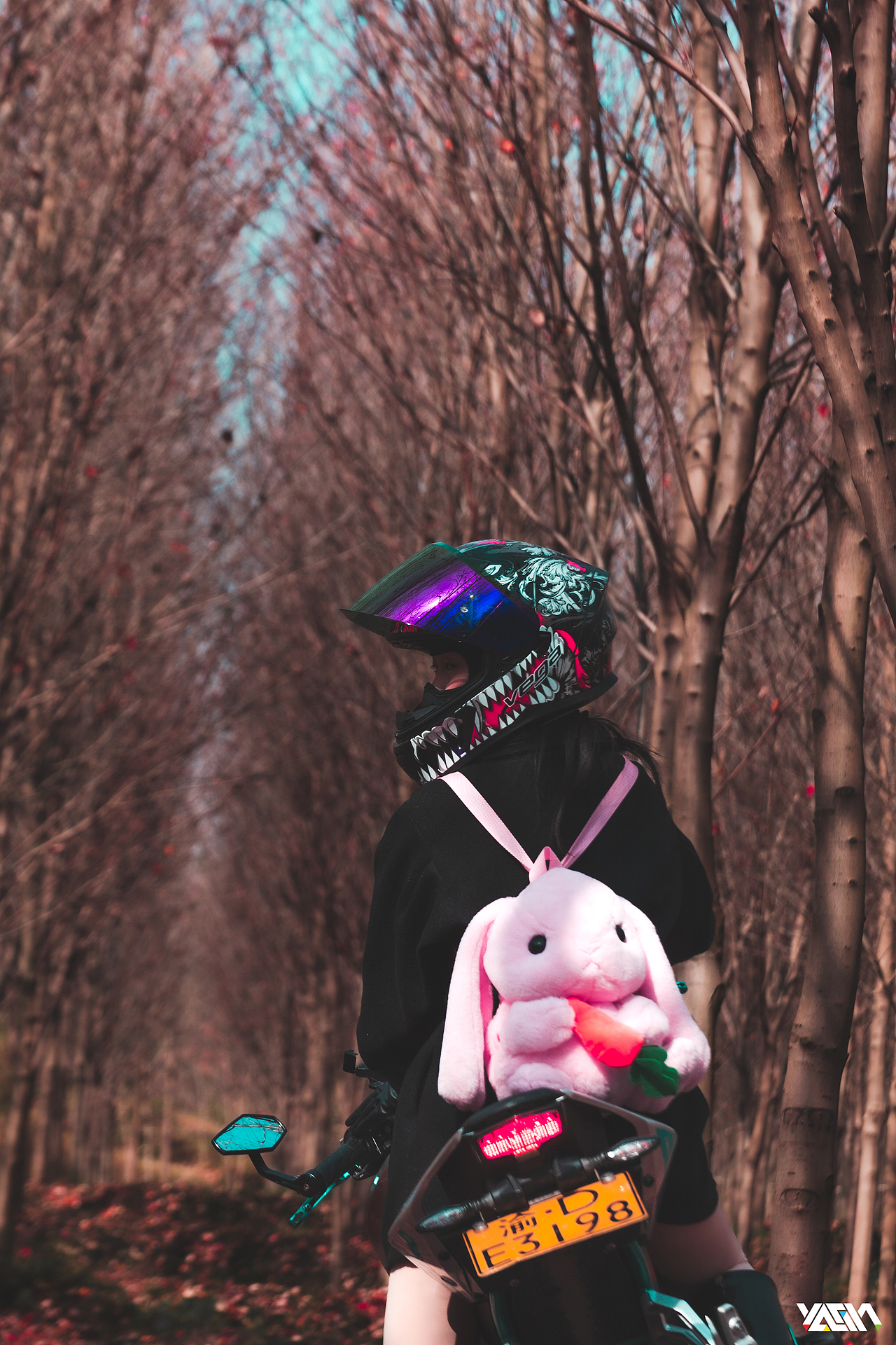 机车·少女·秋天·枫叶