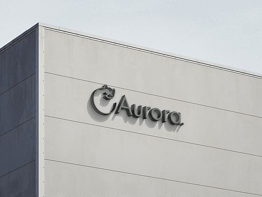 Aurora 智能陪伴仿生猫 视觉形象设计方案