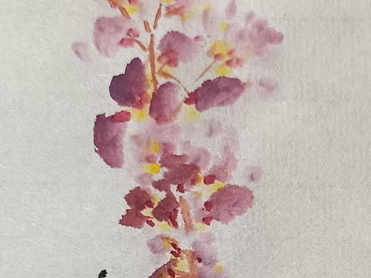 清慧居士巧用菜根來(lái)畫(huà)花兒（個(gè)人主頁(yè)-ZNzE2Njk2ODA=） - 繪畫(huà) - 站酷設(shè)計(jì)師蘇向東號(hào)清慧原創(chuàng)素材 - 站酷ZCOOL