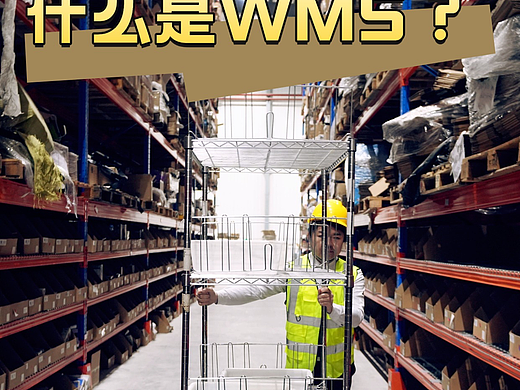 揭秘云仓黑科技！斯蔚科WMS系统到底有多强？ 