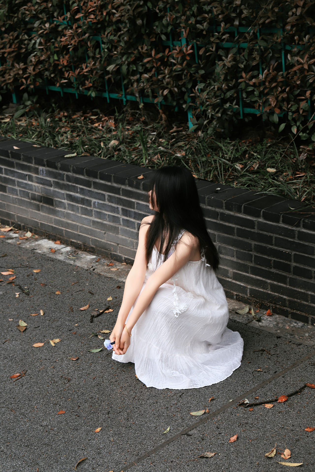 风很温柔,你很特别