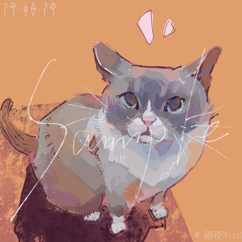 小动物插图系列 | 文创