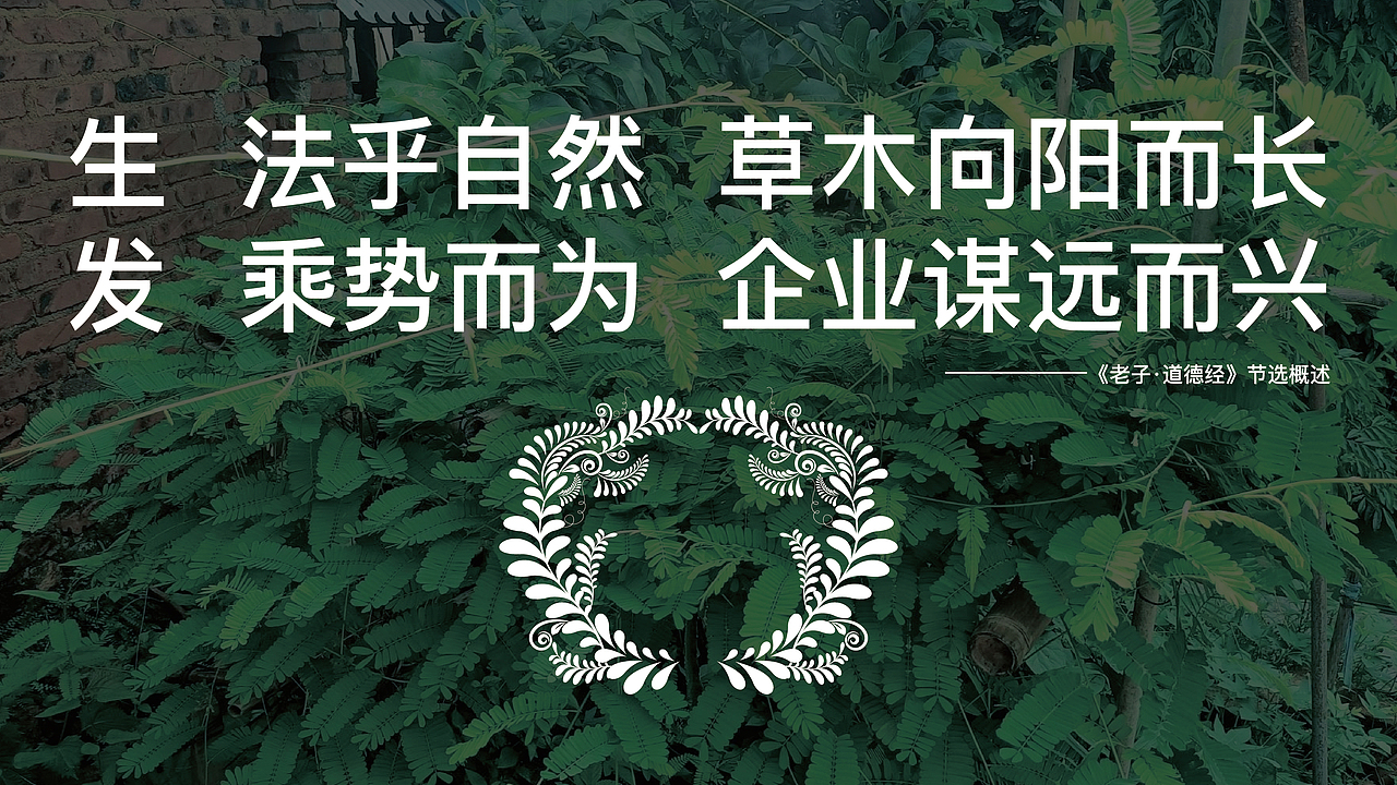 破译自然密码 | 玉林制药视觉系统重构设计